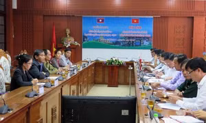 Khảo sát về người di cư tự do và kết hôn không giá thú ở khu vực biên giới Việt - Lào