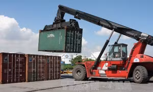 Phó Thủ tướng chỉ đạo xử lý trách nhiệm vụ 213 container 'mất tích' 