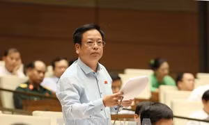 Cần thiết ban bành Luật Đơn vị hành chính - kinh tế đặc biệt