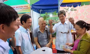 Khai mạc Phiên chợ Sâm Ngọc Linh 'độc nhất vô nhị' tại Quảng Nam