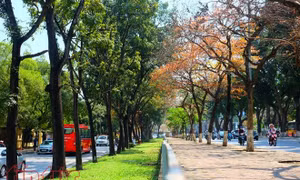 Con đường lãng mạn nhất Hà Nội vào mùa lá đỏ đẹp như châu Âu