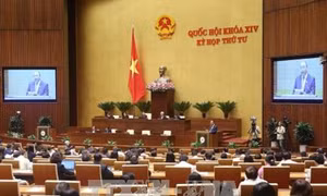  Tinh thần Chính phủ kiến tạo đi vào cuộc sống