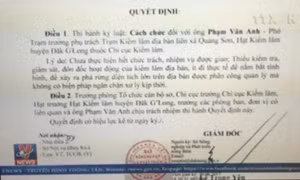 Vụ hủy hoại 46 ha rừng tại Đắk Nông: Kỷ luật nhiều cán bộ kiểm lâm