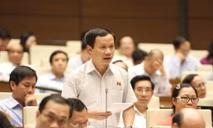 Vẫn chưa quy định rõ trách nhiệm bảo vệ rừng của các bên