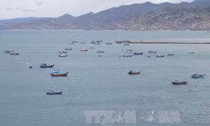 Rơi xuống biển, một thuyền viên tàu cá mất tích tại biển Trường Sa