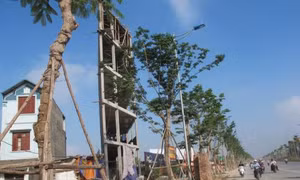 Xóa nhà 'siêu mỏng, siêu méo' tại Hà Nội: Không chỉ cần vốn