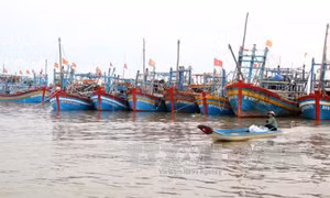 Cầu nối đoàn kết của ngư dân