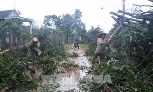 Bão số 12 làm ngập hàng chục ngàn ngôi nhà, chia cắt nhiều khu vực