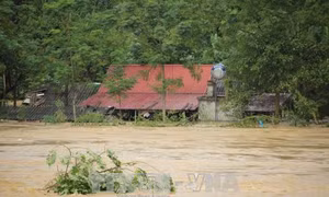 Phú Thọ: Hàng trăm ngôi nhà chìm trong nước do mưa lũ