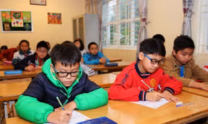 Hơn 1.200 học sinh tham dự Olympic tiếng Anh tiểu học