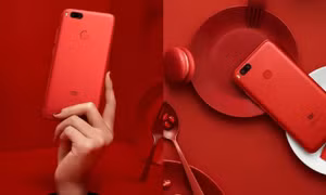 TP Hồ Chí Minh