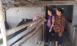 Nâng cao đời sống người dân huyện miền núi Anh Sơn