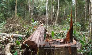Đắk Nông thu hồi dự án khu du lịch sinh thái thác Lưu Ly