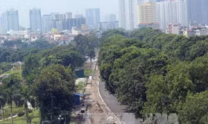 Hà Nội đề xuất tiếp tục xén vỉa hè, dải phân cách