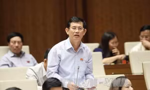 Không nên coi xử lý nợ xấu là trách nhiệm chính của ngân hàng