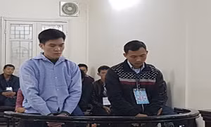 Xét xử đối tượng mạo danh lừa đảo xuất khẩu lao động