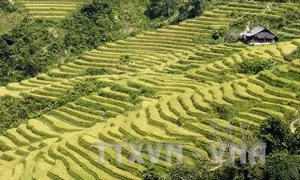 Công nhận Sa Pa là Khu du lịch Quốc gia