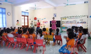 Lào Cai: Trường mầm non phải báo cáo nguồn gốc sữa sử dụng cho trẻ 