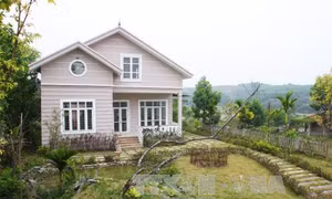Lợi tức phát sinh từ tài sản riêng có trở thành tài sản chung của vợ chồng?