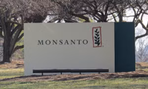 Nghị sĩ châu Âu yêu cầu thành lập một ủy ban điều tra về Monsanto