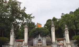 Viếng đền Cuông