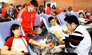 Lễ hội Xuân hồng với hành trình 10 năm 'Hiến giọt máu đào - Trao đời sự sống'