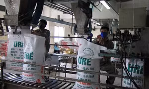 Tập đoàn Hóa chất Việt Nam tạo 'lối thoát' cho 4 doanh nghiệp phân bón thua lỗ