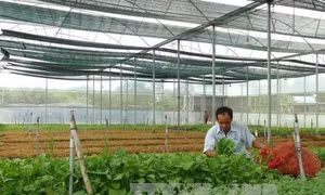 'Tri thức hóa' cho nông dân, đáp ứng tiêu chuẩn làm việc của môi trường cạnh tranh quốc tế