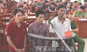 'Bóc lịch' vì nổ súng, xẻ thịt bò tót trong khu bảo tồn