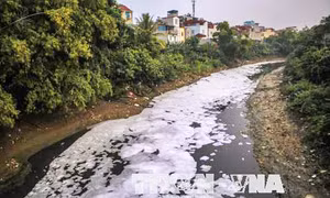 Sẽ kiểm soát đặc biệt một số doanh nghiệp nguy cơ ô nhiễm cao