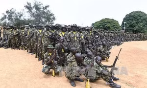 Quân đội Nigeria đẩy mạnh các chiến dịch truy quét phiến quân