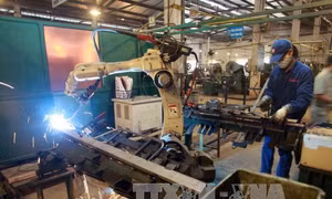 Quy định chi tiết một số điều của Luật Doanh nghiệp