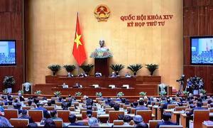 Sửa đổi luật để đảm bảo quyền lợi của người gửi tiền là ưu tiên hàng đầu