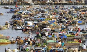 TP Hồ Chí Minh