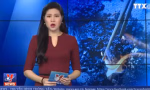Làm rõ nghi vấn gạo cứu trợ có biểu hiện bất thường