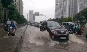 Thành phố Hồ Chí Minh