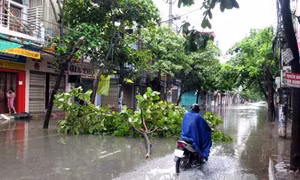 Từ tháng 3 - 5, nhiệt độ trung bình toàn quốc tăng, lượng mưa có thể thiếu