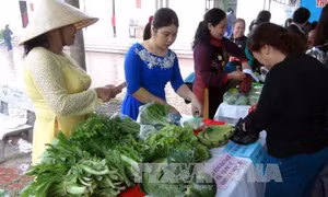 Nâng cao hiệu quả thực thi chính sách, pháp luật liên quan tới phụ nữ