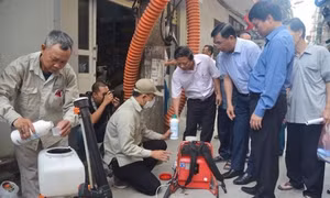 Hà Nội nhiều bất cập trong khống chế dịch sốt xuất huyết - Bài cuối: Cần quyết liệt xử lý vi phạm 