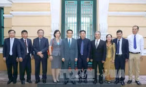 Phó Thủ tướng Vũ Đức Đam tiếp Phó Tổng Giám đốc AKP 