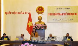 Thẩm tra dự án Luật biện pháp khẩn cấp tạm thời trước khi khởi kiện
