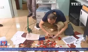 Thu lợi bất chính mỗi tháng hàng chục triệu đồng từ làm giả con dấu, văn bằng