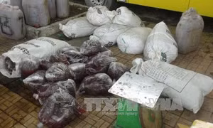 Thu 1,6 tấn nội tạng động vật hôi thối đang trên đường ra Hà Nội tiêu thụ