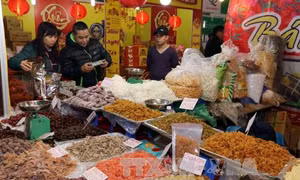 Khai mạc Hội chợ Xuân Giảng Võ 2017
