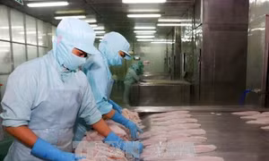 Mexico đánh giá cao thành tựu phát triển kinh tế xã hội của Việt Nam