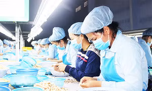 Khánh Hòa: Hàng ngàn lao động vẫn nghỉ chờ việc sau bão số 12