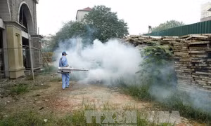 Xuất hiện thuốc diệt muỗi giả ở Hà Nội