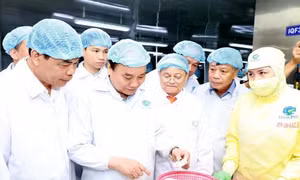 Thủ tướng thăm mô hình chế biến tôm tại Tập đoàn Thủy sản Minh Phú