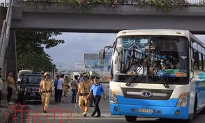 Thành phố Hồ Chí Minh