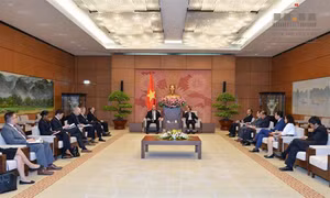 Phó Chủ tịch Quốc hội Đỗ Bá Tỵ tiếp Đoàn Nghị sỹ Hoa Kỳ